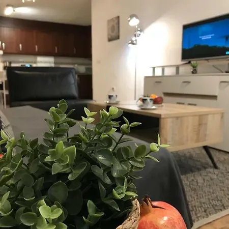 Apartamento Diskover Pintor Gisbert