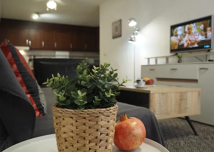 Diskover Pintor Gisbert アパート アリカンテ