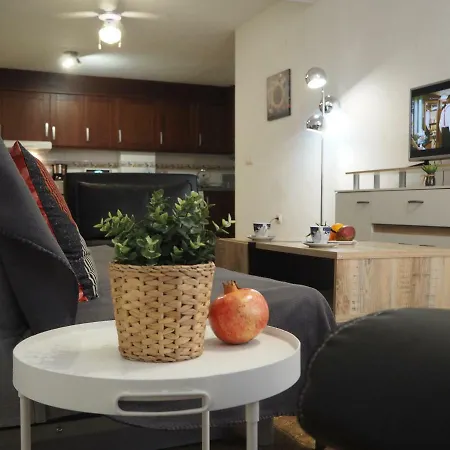 Diskover Pintor Gisbert *